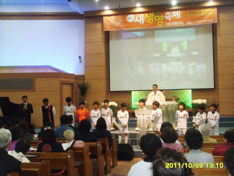 SSL27226.jpg