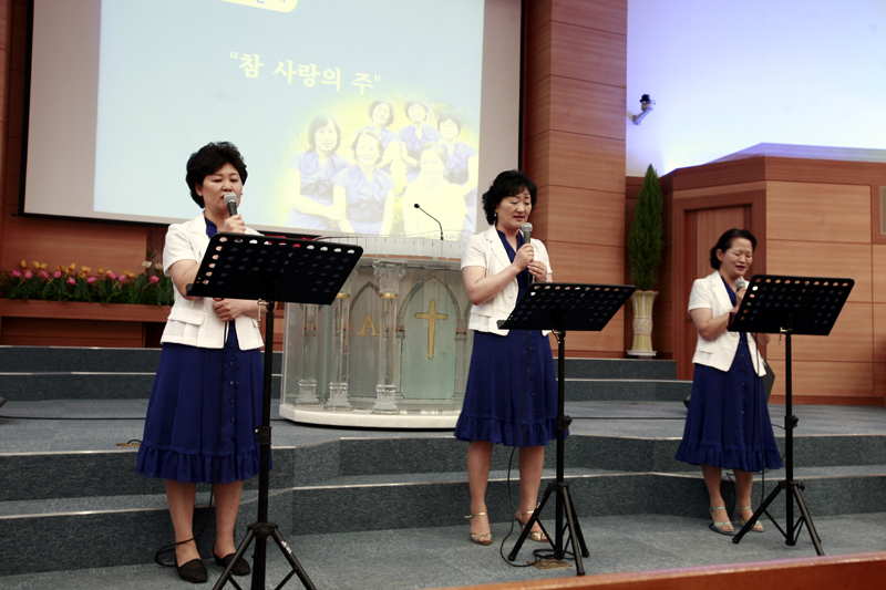 _MG_9196 copy.jpg