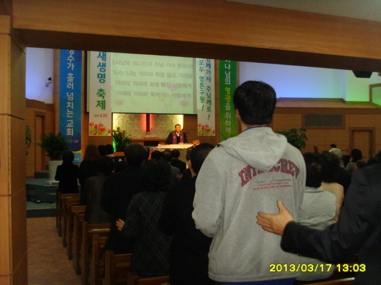 SSL28890.jpg