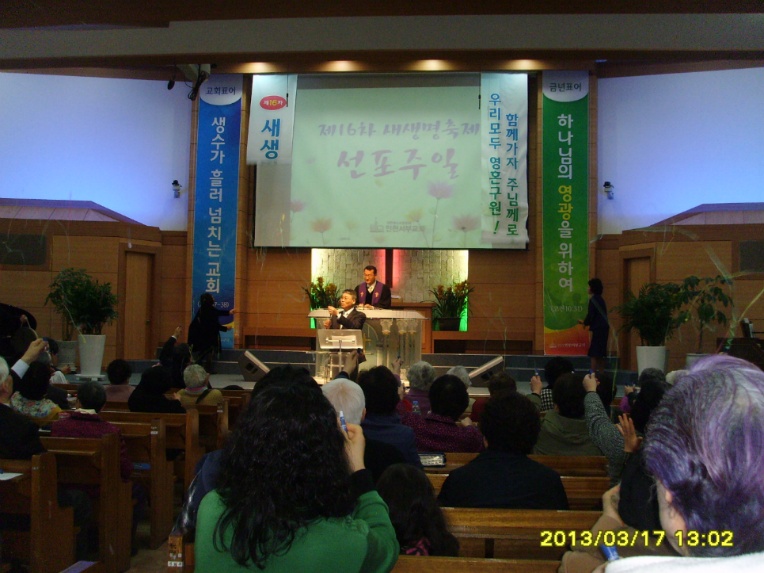 SSL28887.jpg