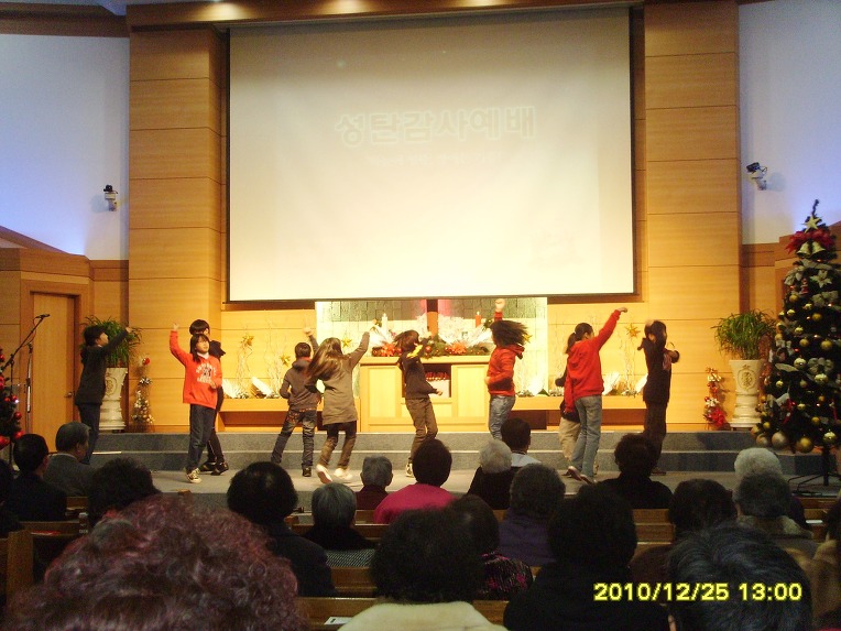 SSL26304.jpg