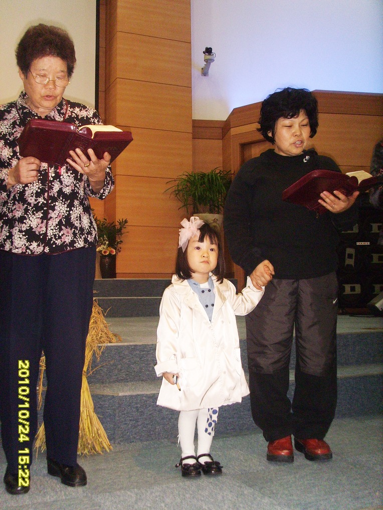 SSL25993.jpg