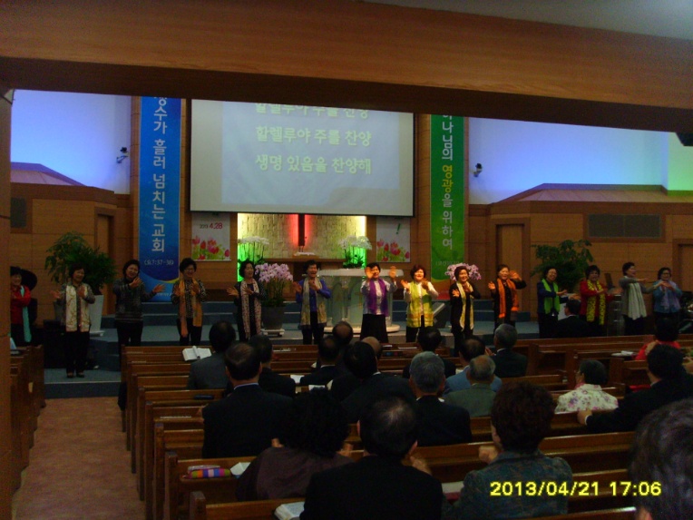 SSL28983.jpg