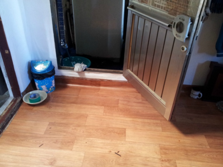 20131012_110036.jpg