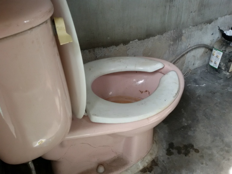 20150912_105028.jpg